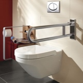 Toalett för handikappade över huvudet