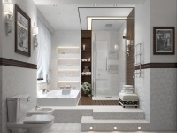 Bathroom design and interior with shower enclosure