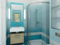 Ντουζιέρα σε ένα μικρό μπάνιο - πρακτική και κομψή