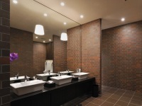 Klinkerio plytelės vidaus sienoms