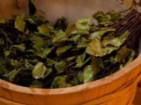 Cum de a înmuia corect o mătură de mesteacăn pentru baie?