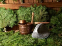 Tutto sulle scope d'abete