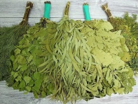 Wszystko o miotle do kąpieli.