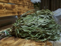 Όλα για τα μπουζούκια μπάνιου με ευκάλυπτο