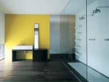 Murs de salle de bains peints