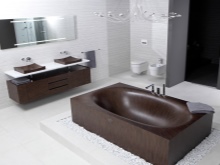 Cada de baie și interior