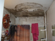 浴室天花板上的霉菌