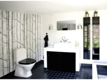 Бяла баня с черен под