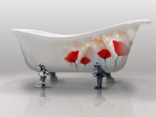 美しい脚付き鋳鉄製バスタブ