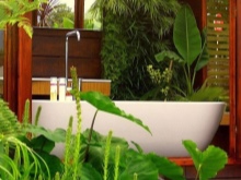 Plante mari în baie