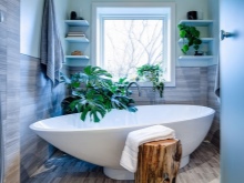 Flori pe rafturi de baie