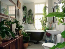 Flori curly în baie