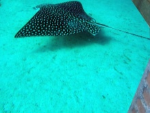 Schuin vloerpatroon in de badkamer