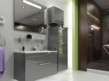 Mobilier într-o baie gri