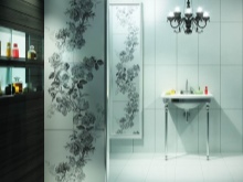 Zonificación de baños - tabiques