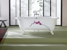 Jacob Delafon ζωγραφισμένη μπανιέρα με πόδια