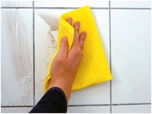 Usando um pano de microfibra