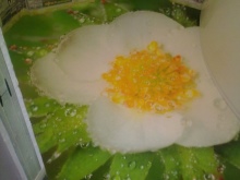 立体的な模様のある打ちっぱなしの床