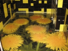 浴室の床材は仕上げ済み