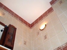 エコノミータイプのバスルームの天井を塗装 