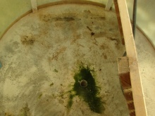 Pavimentazione del box doccia con policarbonato