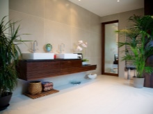 Store badeværelsesplanter til et badeværelse uden vindue