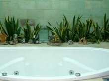 Planter på badeværelset uden vinduer