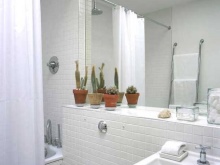 Regler for planter på badeværelset uden vindue