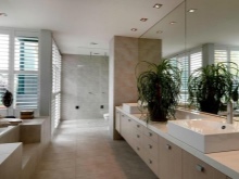 Planter til badeværelset