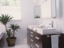 Yucca til et badeværelse med vindue