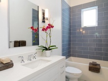 Orkidé til et badeværelse med vindue