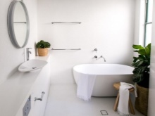 Dracaena til vinduet badeværelse