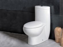 Tips för att välja en monoblocktoalett