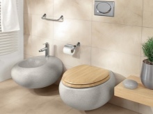 Sieninis tualetas su paslėptu bakeliu 