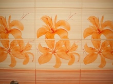 Coulis pour carreaux de salle de bains colorés