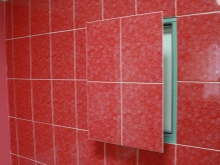 Wall tile access hatch