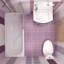 Baia combinată într-o hrivnă