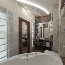 Rudas akcentas vonios kambaryje