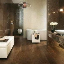 Tamsiai rudas vonios kambarys