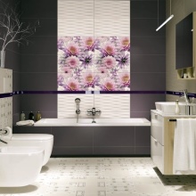 Πολωνική συλλογή κεραμιδιών σε κινεζικό στυλ