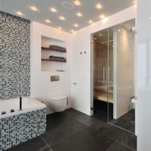 Spotlight plasarea în baie gri