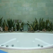 Fiori nella vasca da bagno