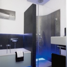 Sisseehitatud dušikabiin