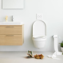 Rimless WC keuze advies
