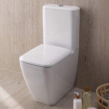 Een WC-model zonder rand kiezen