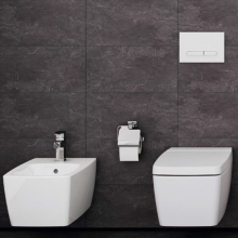 WC zonder rand, gecombineerd met een bidet