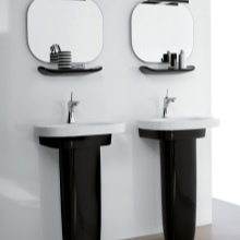 Musta tulppaaniallas