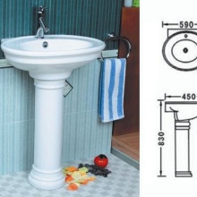 Valkoinen tulppaaniallas