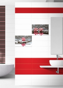 Baldosas en un baño de 5 metros cuadrados