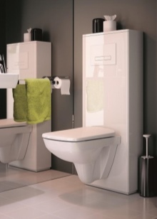 WC zonder rand met verticale spoeling